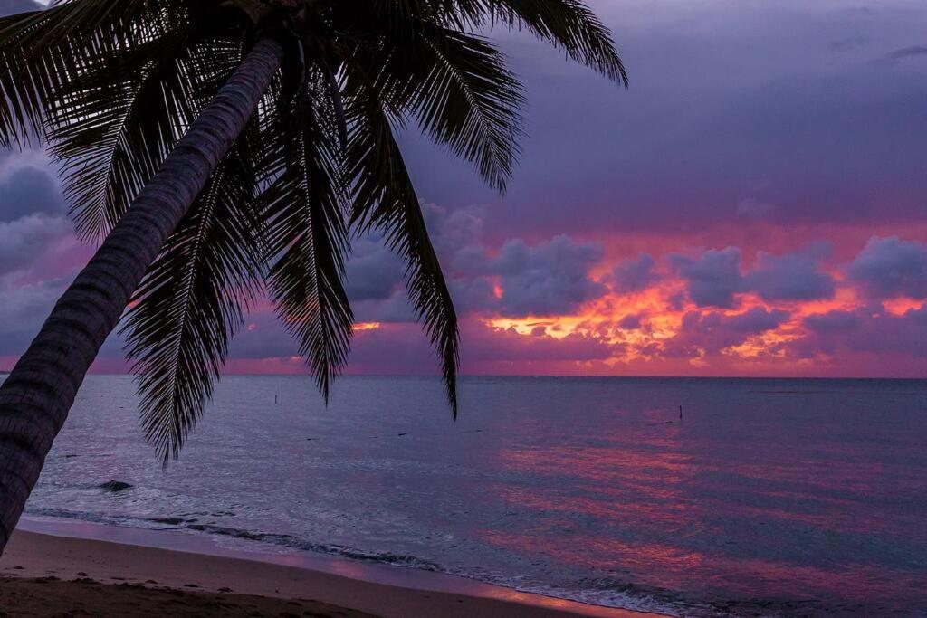 One Bedroom Apt 30 Steps From Prime Beach Generator Parking Included San Juan Exterior photo